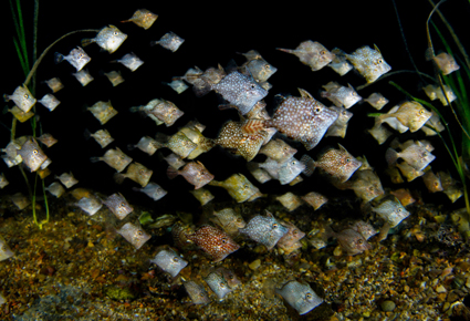 cda3cfc1903611615e1c2f10489806be_1 전민석-한밤의 행진.jpg